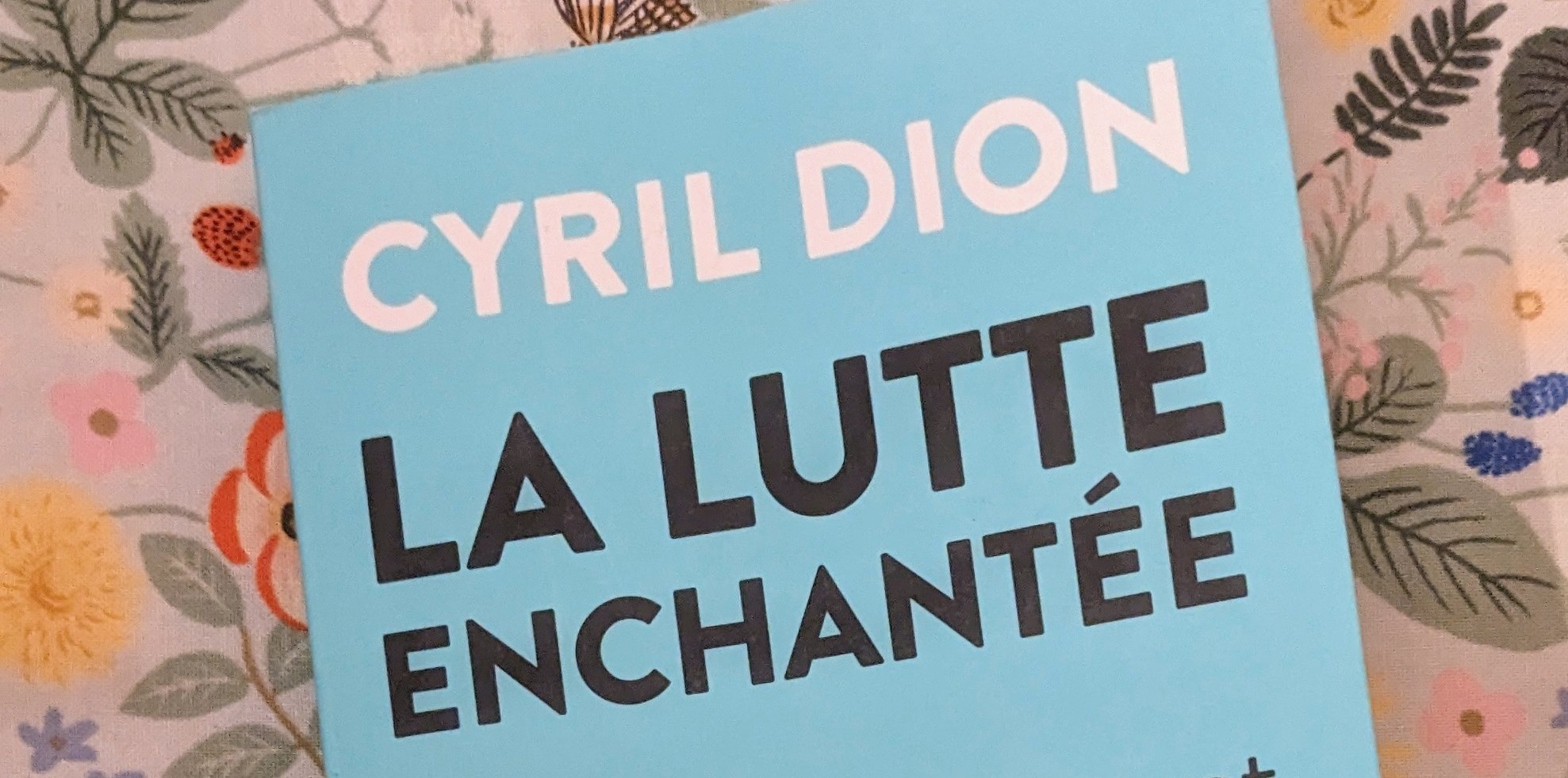 la lutte enchantée