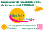 FLYER electron vignette